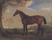 John Ferneley Portrait of a Hunter Mare,The Property of Robert shafto of whitworth park,durham oil on canvas